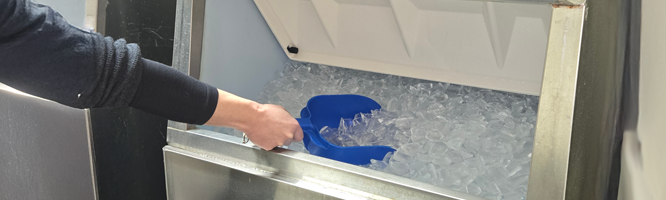 Woman scooping ice from a Hoshizaki Ice Bin